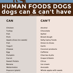 A chart of food dogs can and can't eat, listing safe options like chicken, turkey, and eggs, and marking chocolate, grapes, and avocado as unsafe for your canine companion.