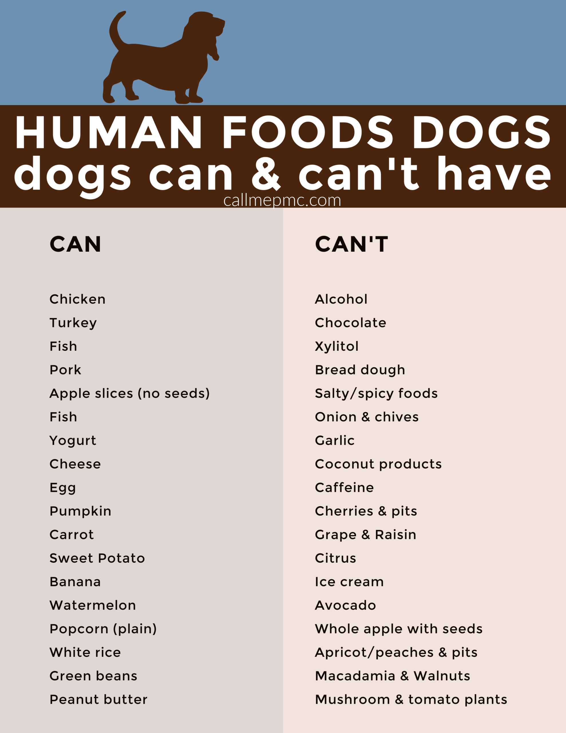 A chart of food dogs can and can't eat, listing safe options like chicken, turkey, and eggs, and marking chocolate, grapes, and avocado as unsafe for your canine companion.