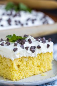 A slice of yellow cake topped with white frosting and chocolate chips, garnished with a mint leaf, is served on a plate.