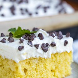A slice of yellow cake topped with white frosting and chocolate chips, garnished with a mint leaf, is served on a plate.