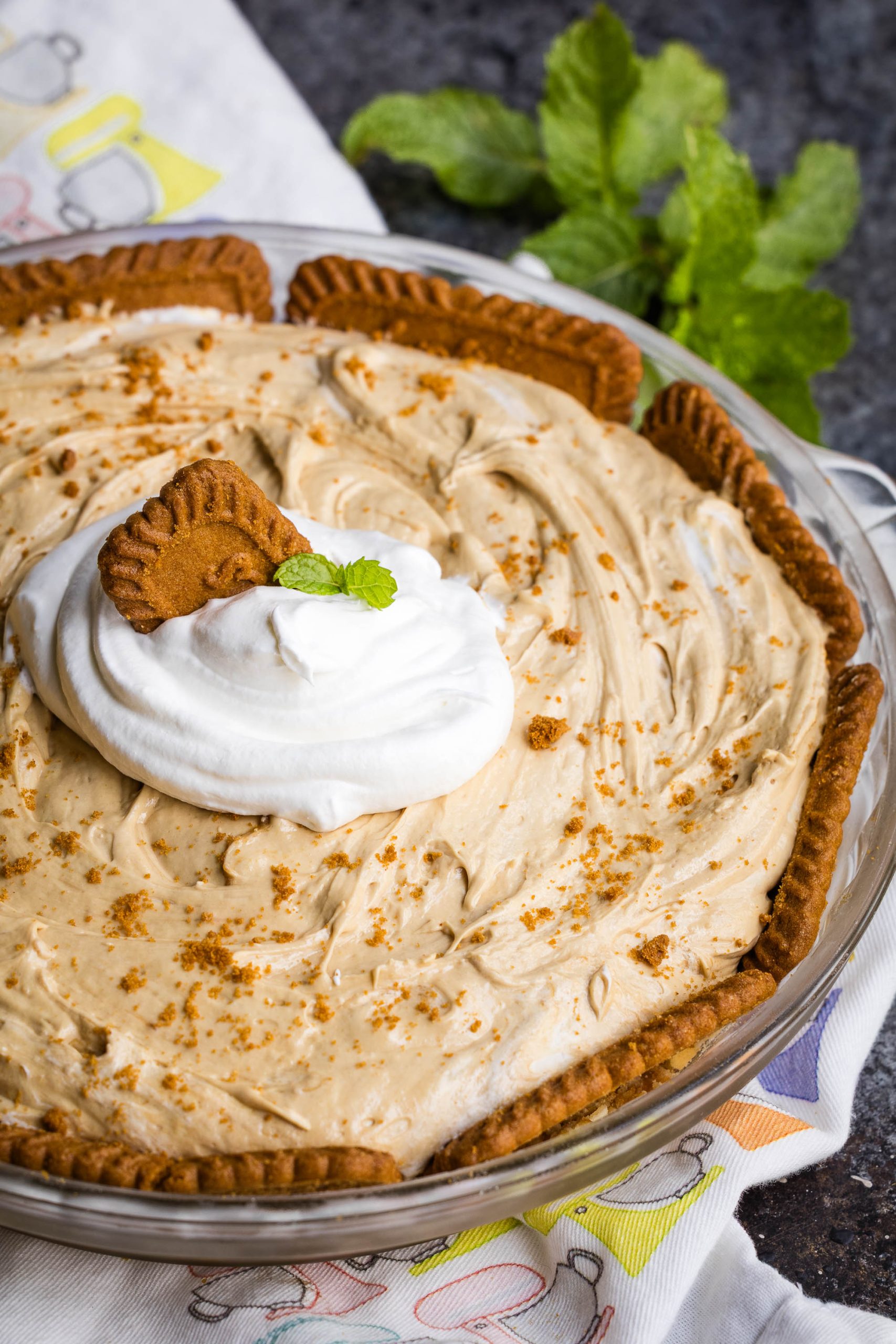 A dessert with a crumb crust, topped with whipped cream, and a mint sprig, sitting on a patterned cloth.