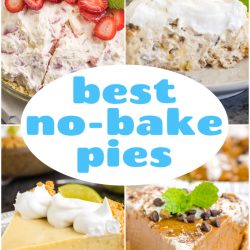 A collage of four delicious No Bake Pies—strawberry, pecan, key lime, and chocolate—with "best no-bake pies" highlighted in the center.