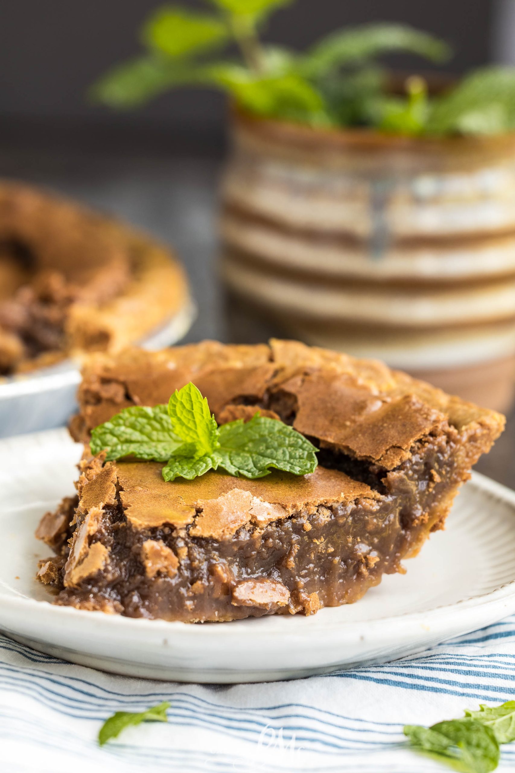 A slice of chocolate pecan pie garnished with a sprig of mint sits on a white plate, with the rest of the pie and a plant in the background.