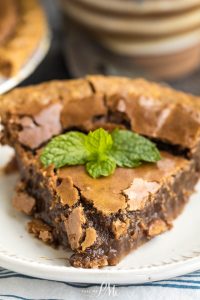 A piece of brown cake with a leaf on top.