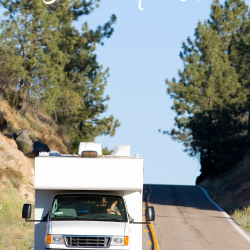 A white RV cruises down a sunny, tree-lined road, capturing the spirit of adventure and freedom. "Road Trip Essentials" appears at the top, reminding travelers to pack smart for their next unforgettable journey.