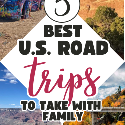 A collage of scenic U.S. landmarks highlights top U.S. road trips, with text overlay: "5 Best U.S. Road Trips to Take with Family" and the website URL "callmepmc.com" displayed at the bottom.