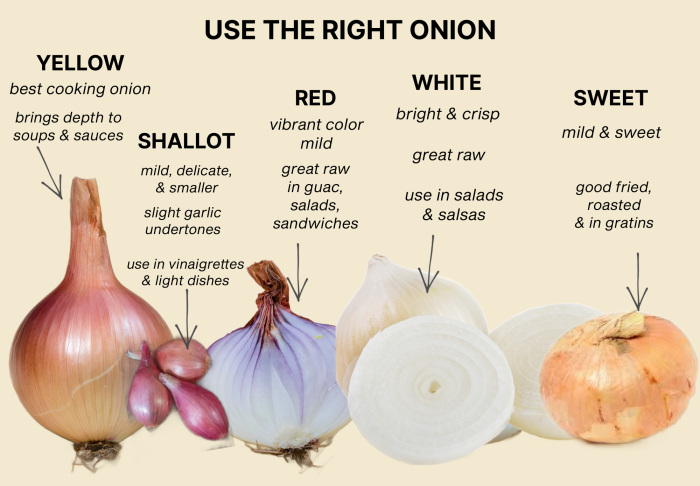 Five types of onions—yellow, shallot, red, white, and sweet—labeled with their common uses and flavor characteristics against a beige background.