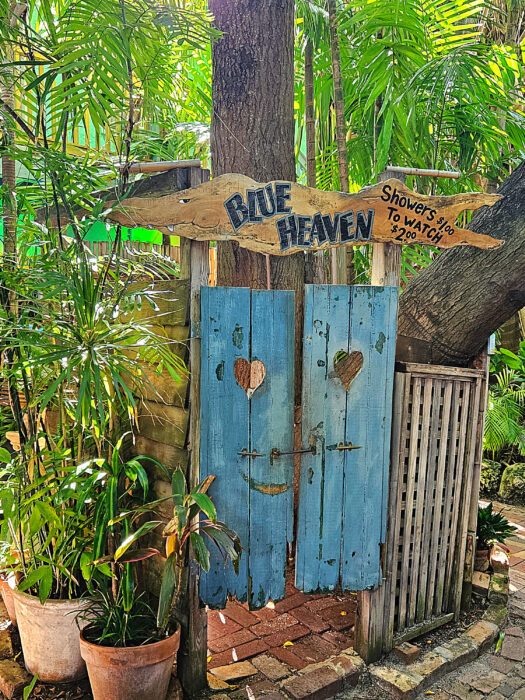 Weathered blue double doors with heart cutouts stand between lush green plants, inviting you into a charming spot that's a must on any "Where to eat in Key West" list. Above, a wooden fish-shaped sign reads "Blue Heaven," and another sign says, "Showers to watch, 2:00 PM.