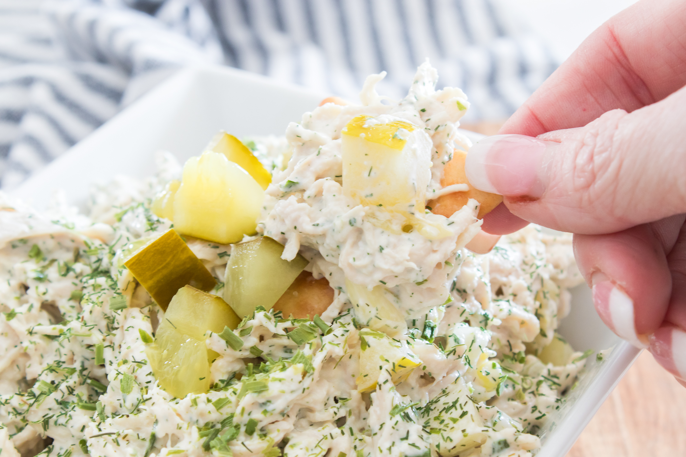 A hand holds a cracker topped with creamy dill pickle chicken salad and diced pickles above a dish filled with more salad, garnished with fresh herbs and pickle pieces.